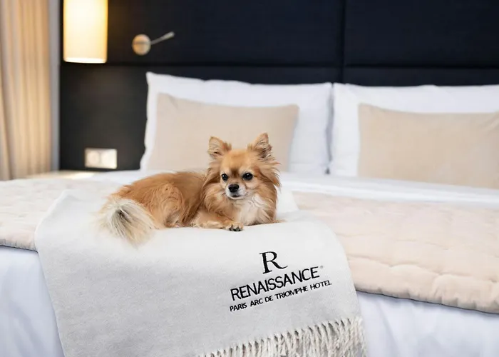Renaissance Paris Arc De Triomphe Hotel